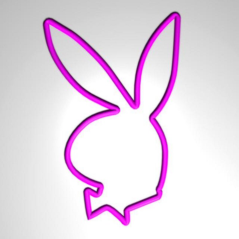 Кролик плейбой