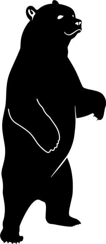 Силуэт животного медведь