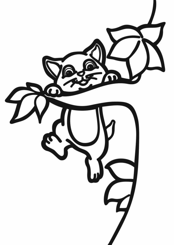 Трафарет бурундук для вырезания