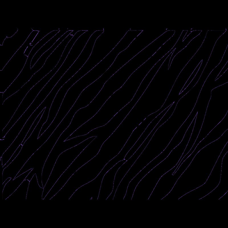 Полосы зебры