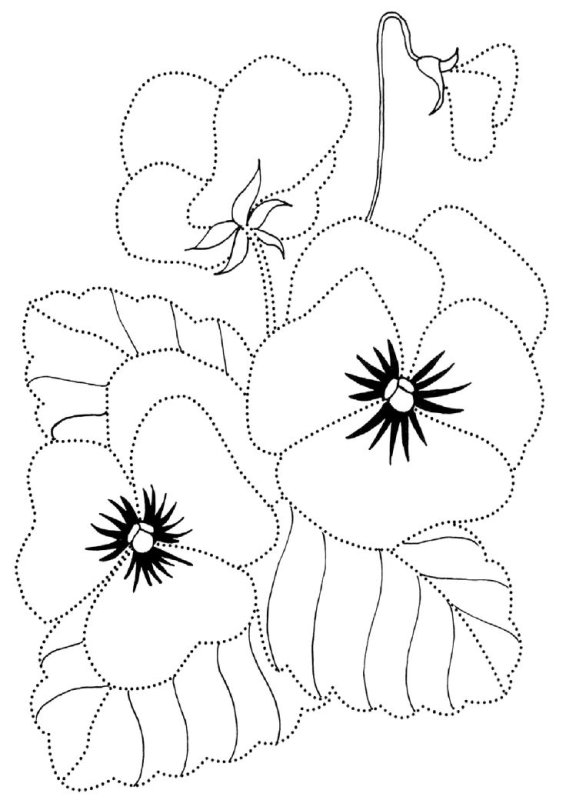 Анютины глазки цветы