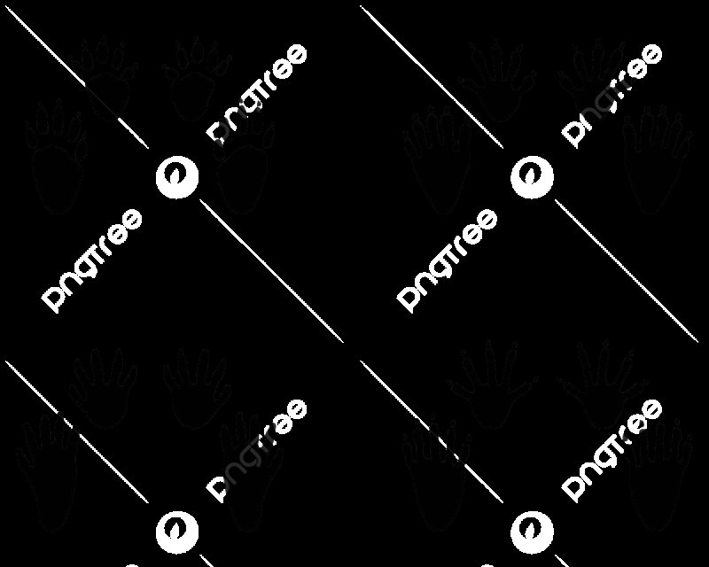 Следы животных на белом фоне