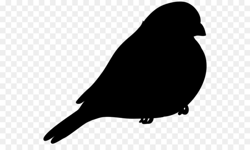 Силуэт птицы