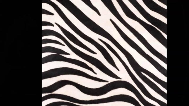Орнамент Зебра