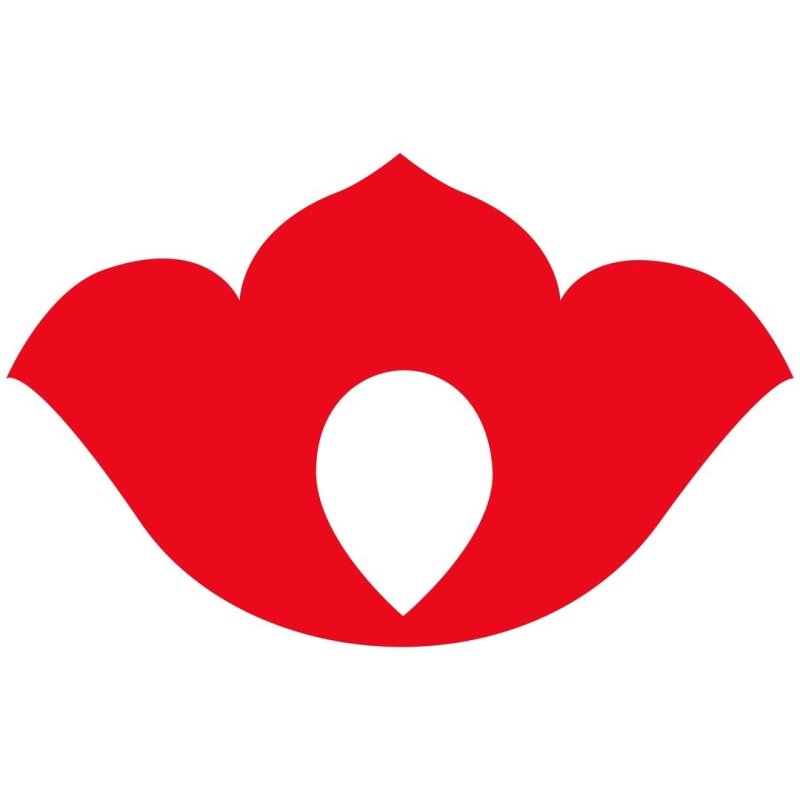 Татарский орнамент тюльпан