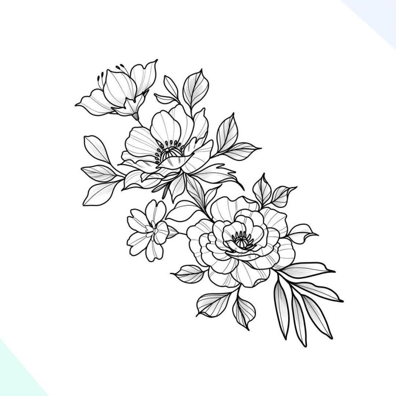 Эскизы цветов