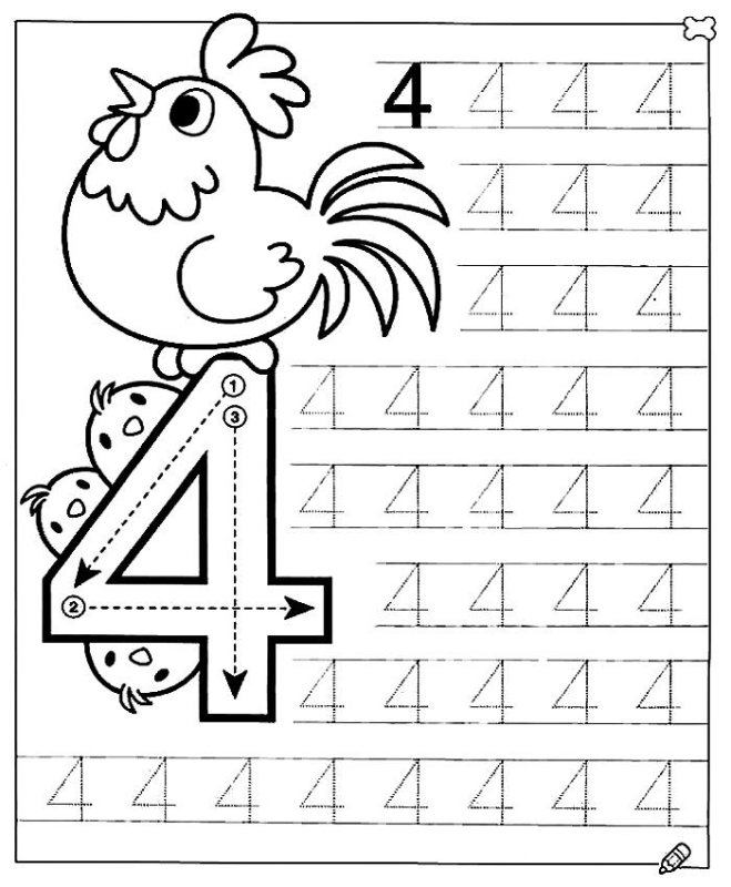 Цифра 4 пропись для дошкольников