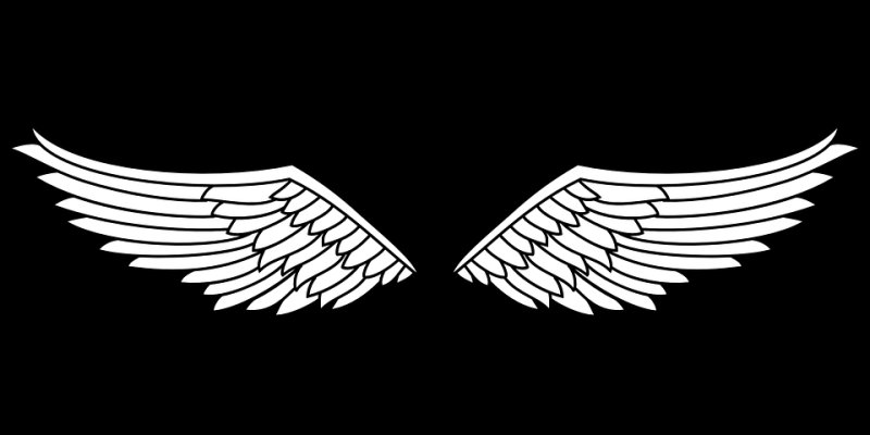Крылья силуэт