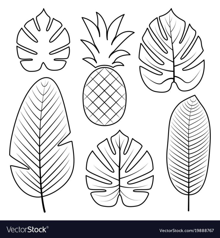 Листья тропические трафарет для вырезания