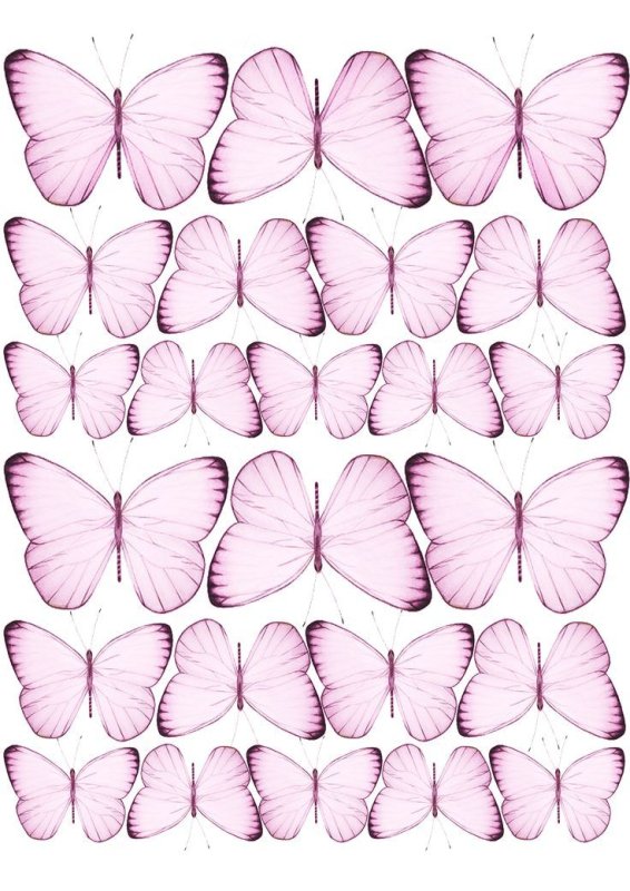 Бабочки розовые