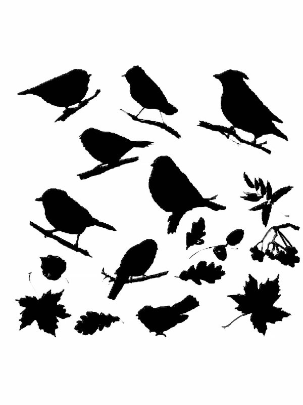 Силуэты лесных птиц