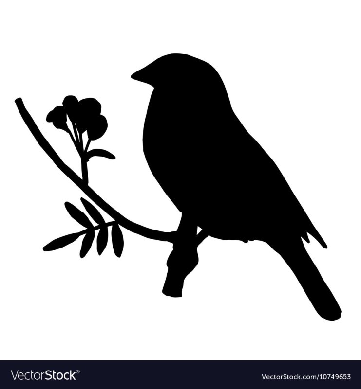 Силуэт птицы Снегирь