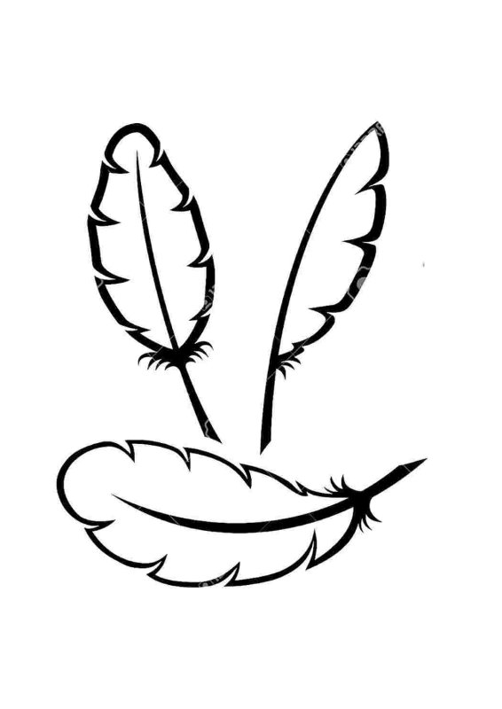 Перо раскраска