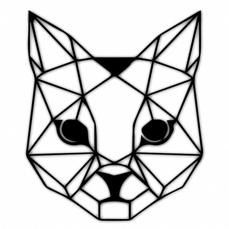 Кошка геометрия