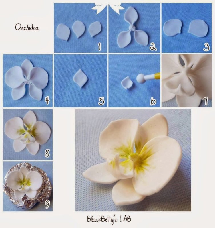 Лепка цветов