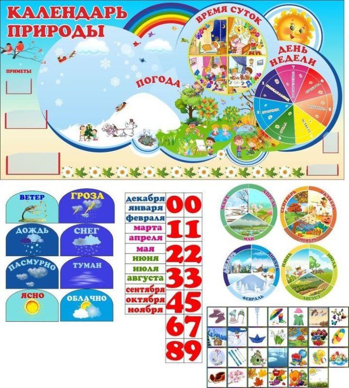 Уголок природы в детсаду