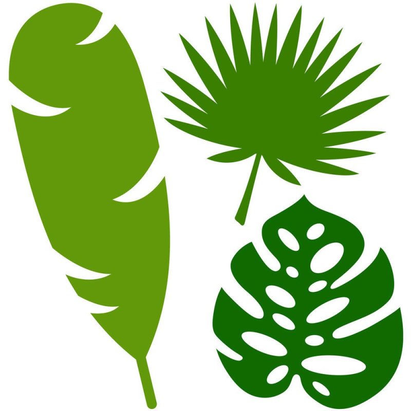 Тропические листья