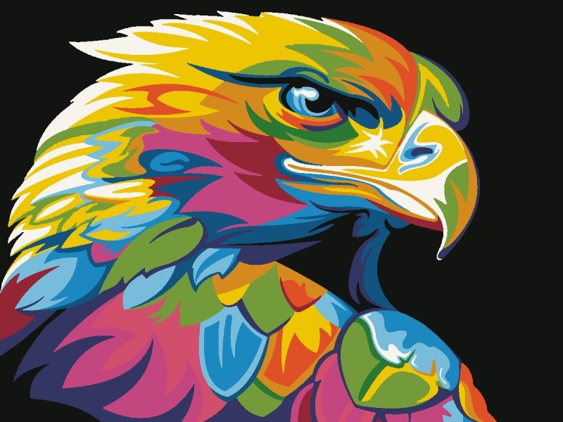 Ваю Ромдони художник