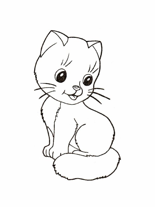 Кошка раскраска для детей