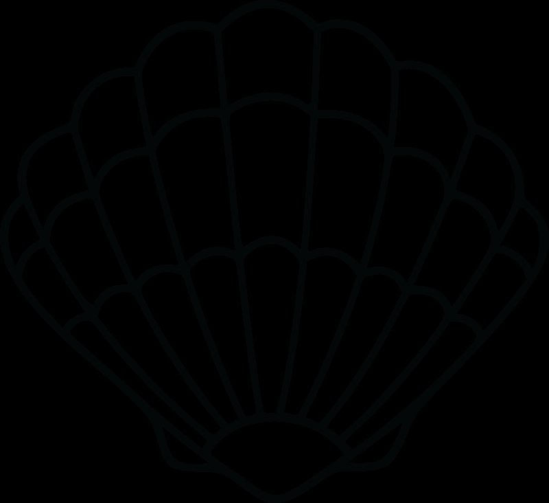 Ракушка раскраска для детей