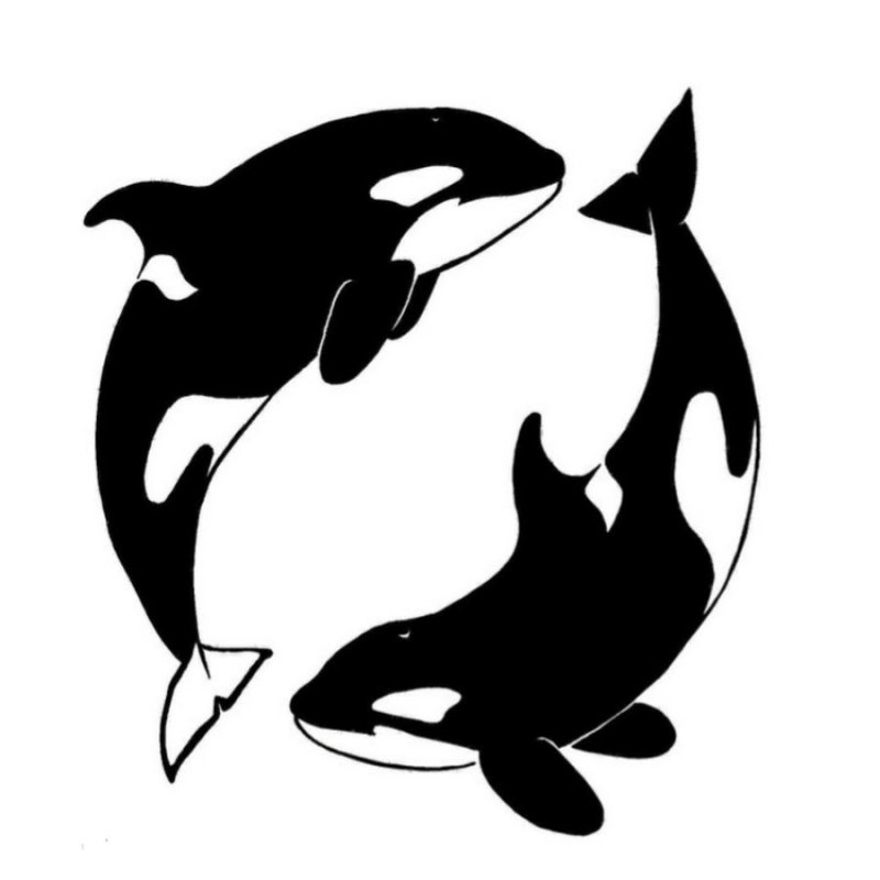 Касатка карандашом