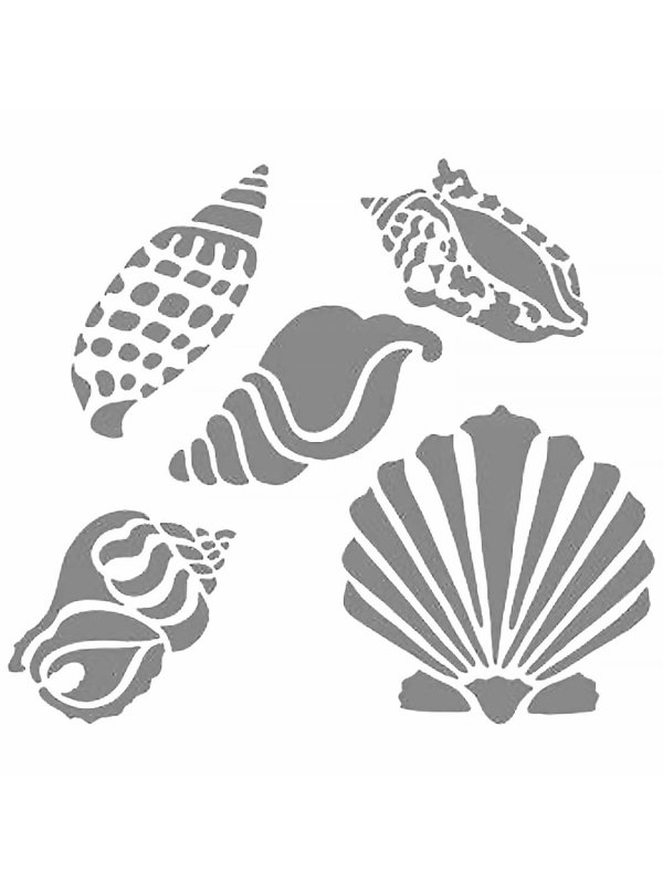 Трафарет морской ракушки