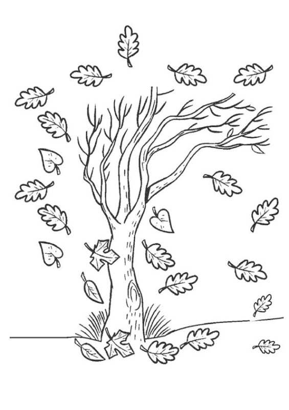 Осеннее дерево раскраска для детей