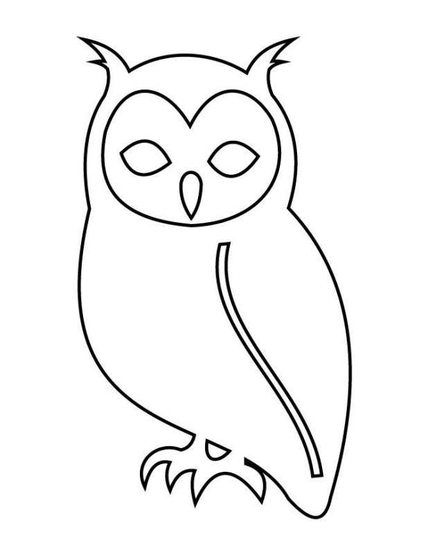 Сова контур