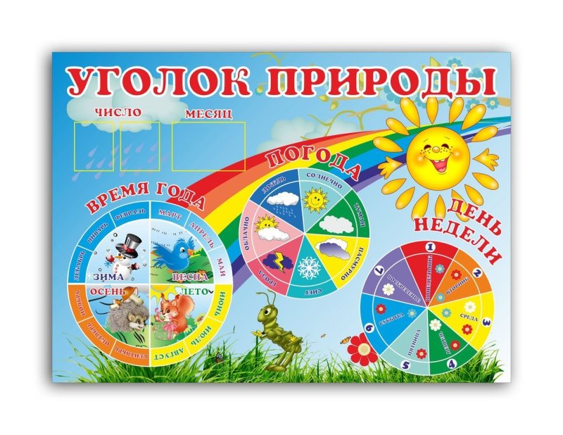 Уголок природы