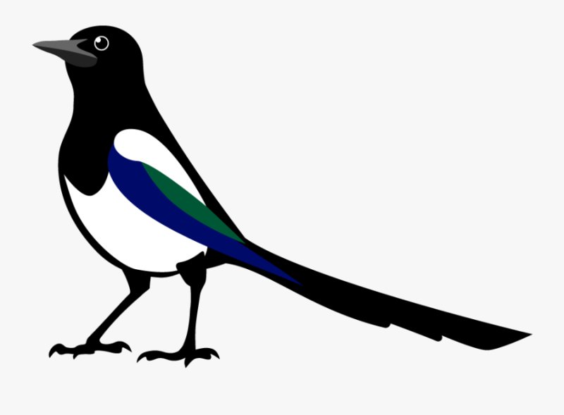 Сорока картинка для детей