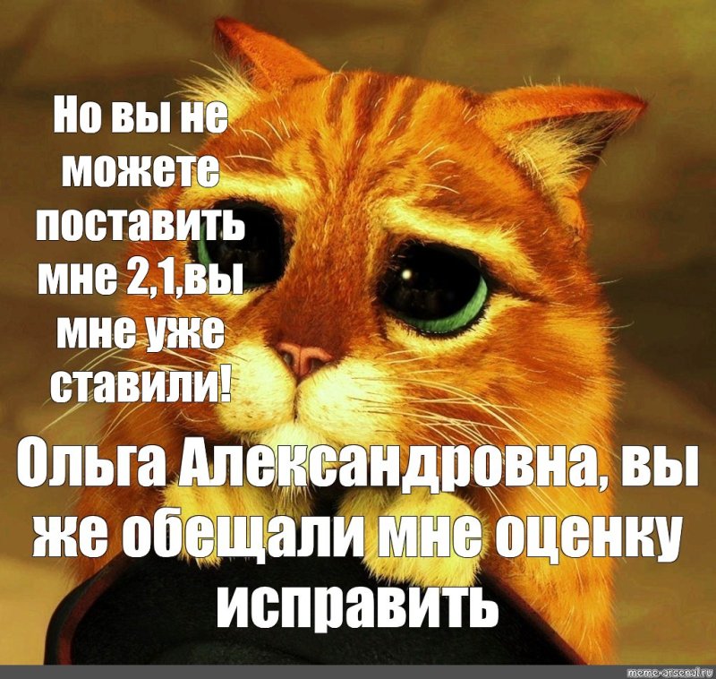 Взгляд кота из Шрека