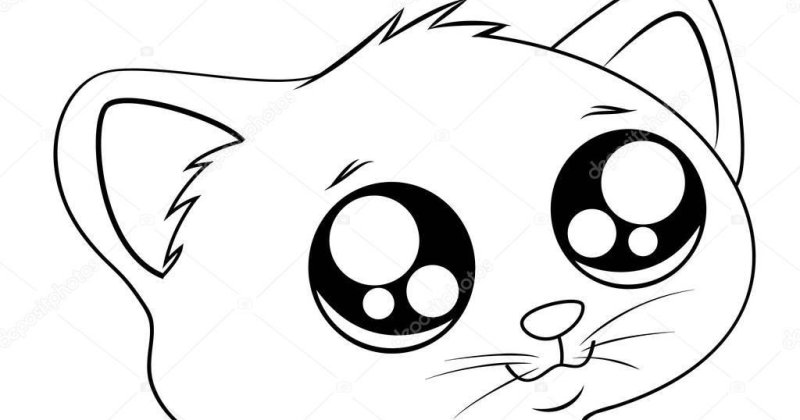 Милый котик раскраска