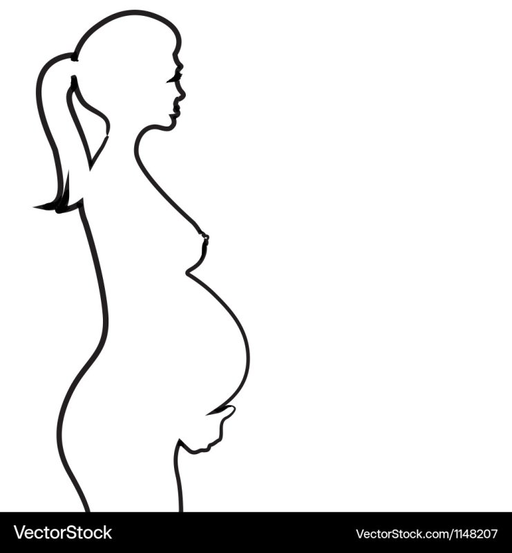 Беременность рисунок