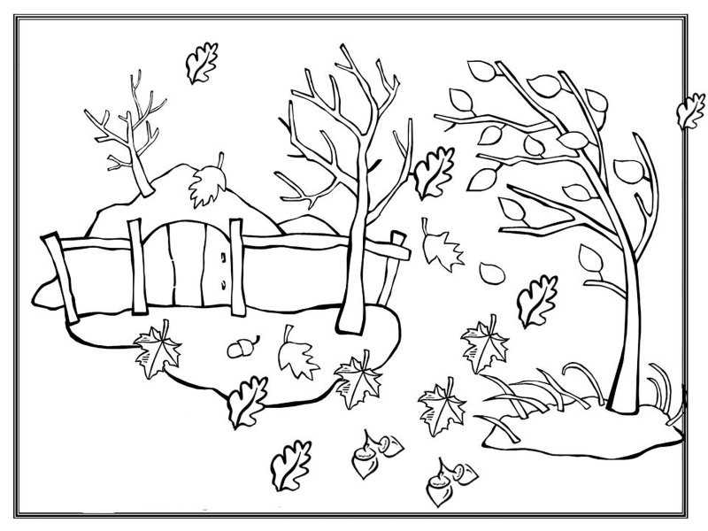 Раскраска осенний лес