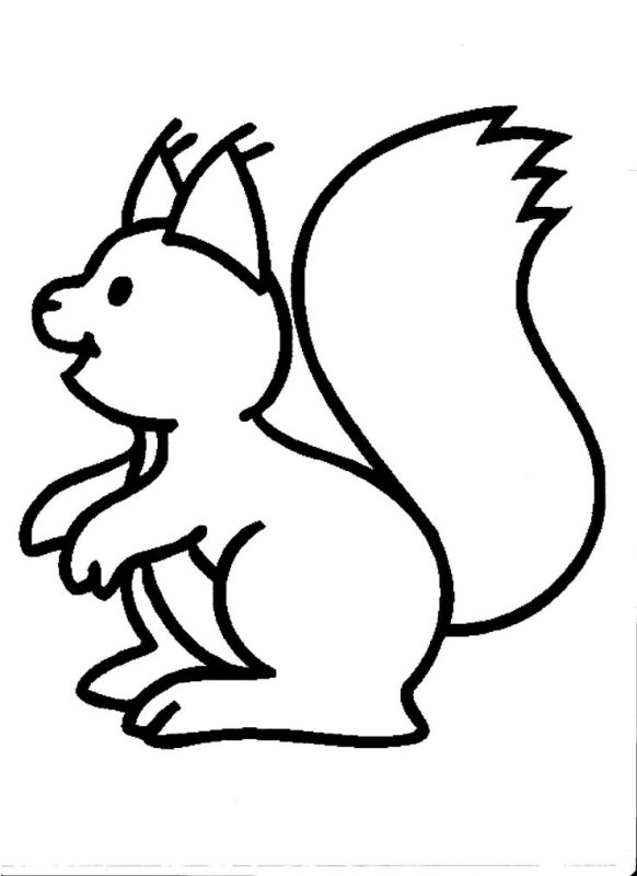 Белочка раскраска для детей