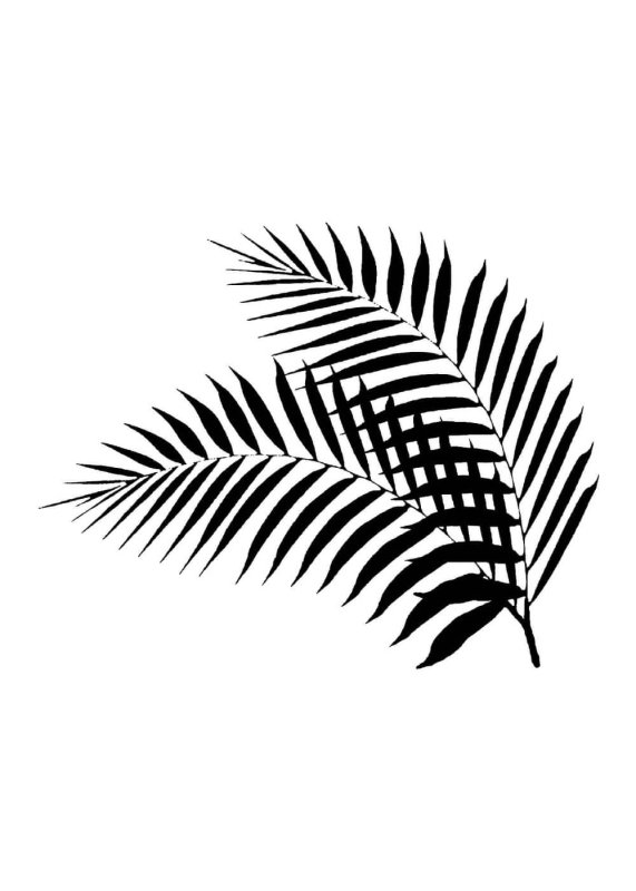 Тропические листья трафарет