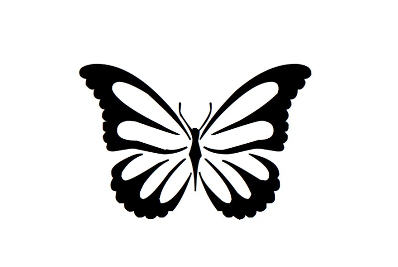 Бабочки чёрно белые