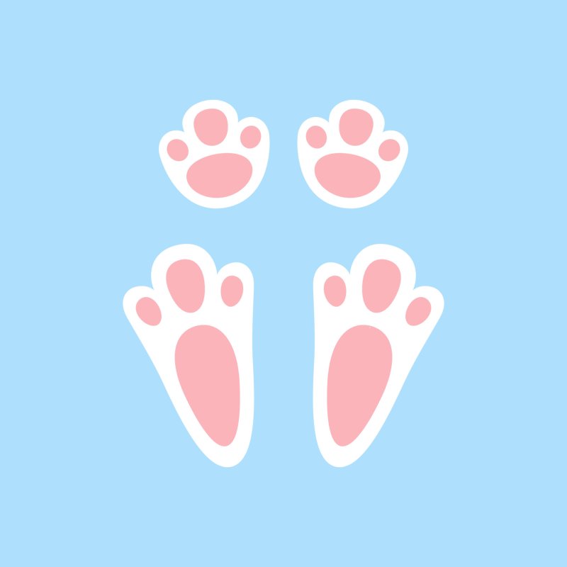 Лапки зайчика