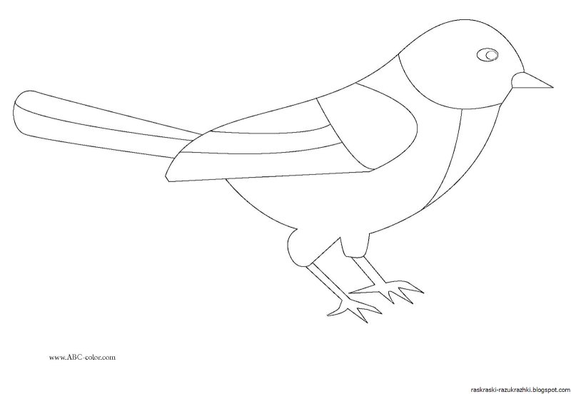 Синичка раскраска для детей