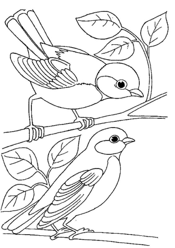 Синичка раскраска для детей