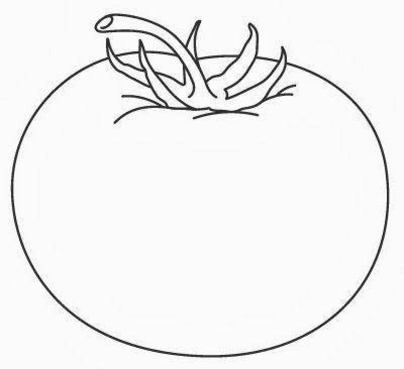 Помидор раскраска для малышей
