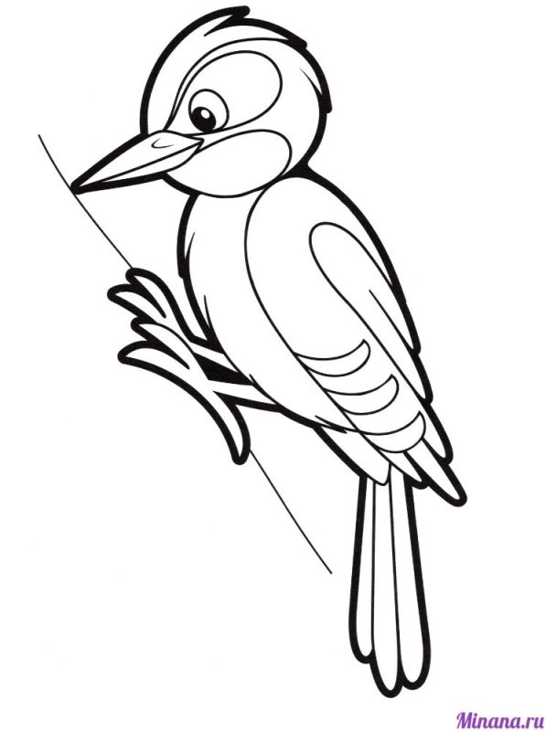 Птицы. Раскраска