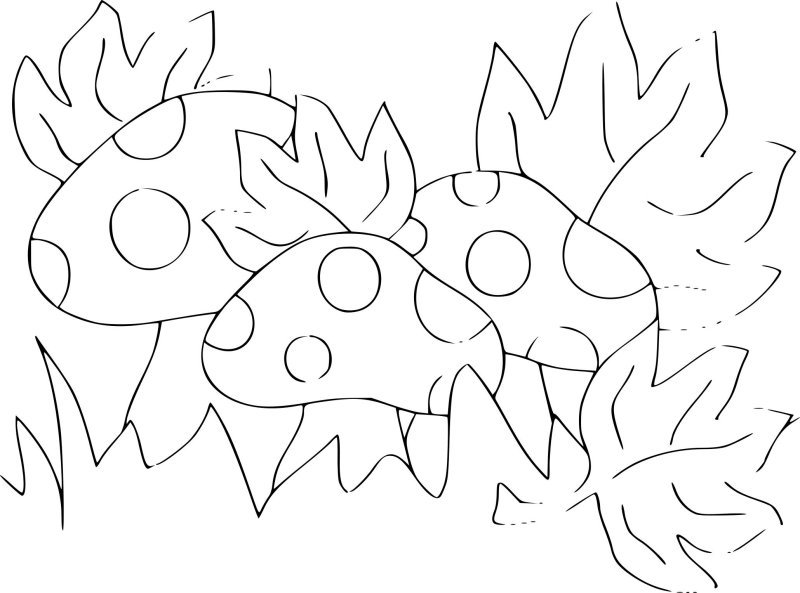 Аппликация шаблон