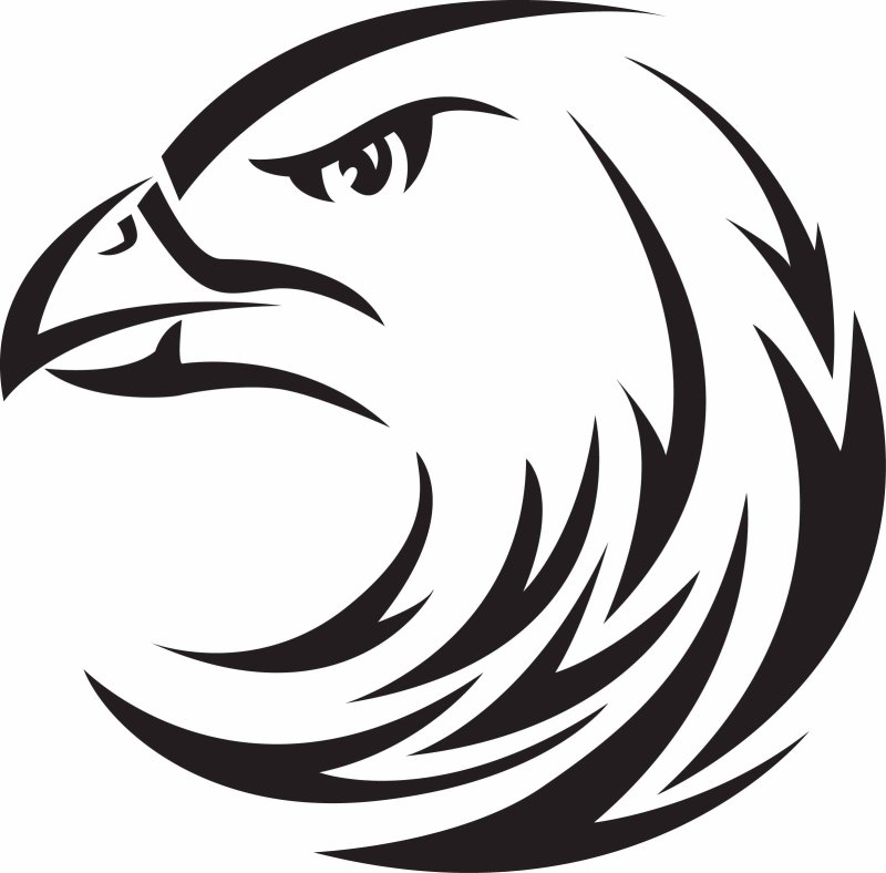 Тату голова орла