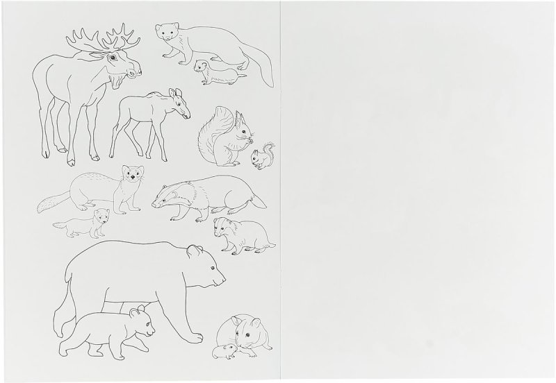 Задания для дошкольников Дикие животные леса