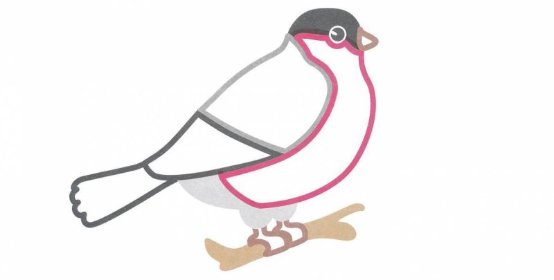 Снегирь раскраска