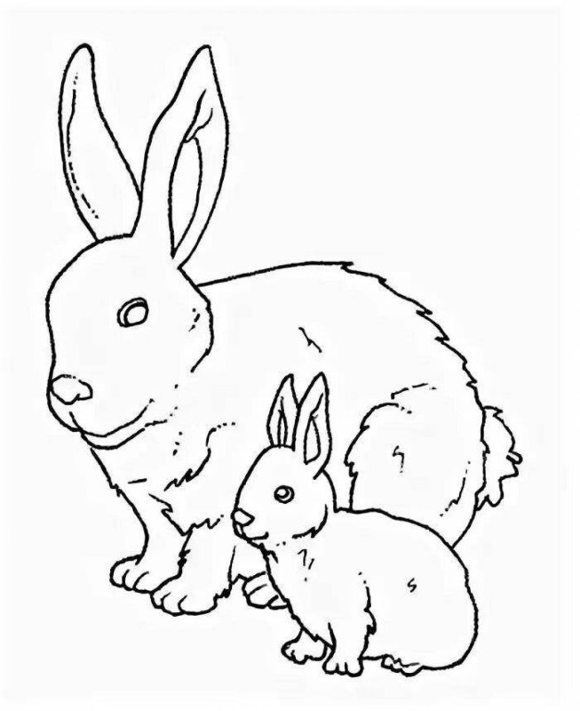 Дикие животные раскраска для детей