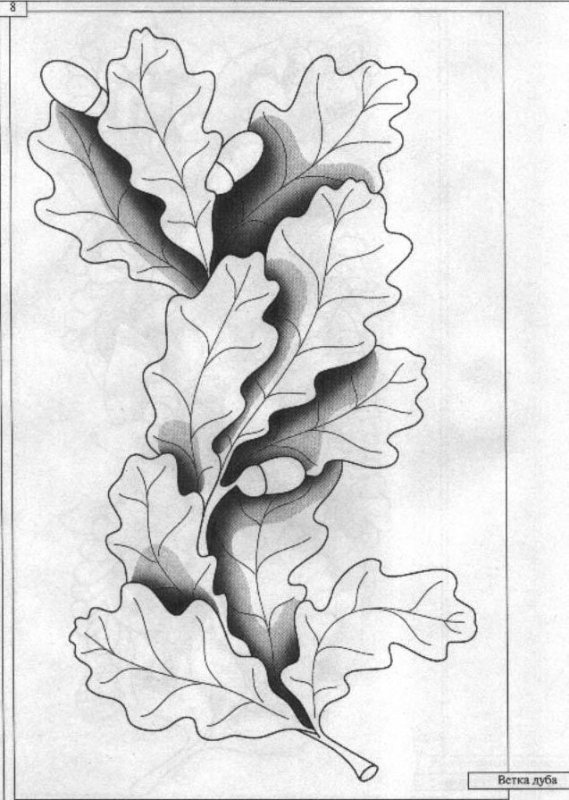 Резьба по дереву растительный орнамент