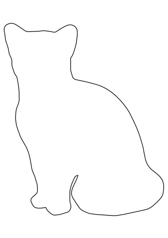 Кот контур