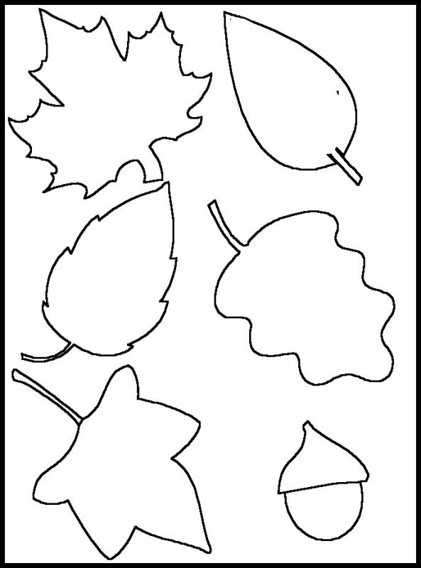 Трафареты "листья"